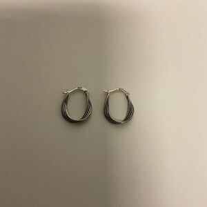 Elegant Silver and Black Hoop Earrings